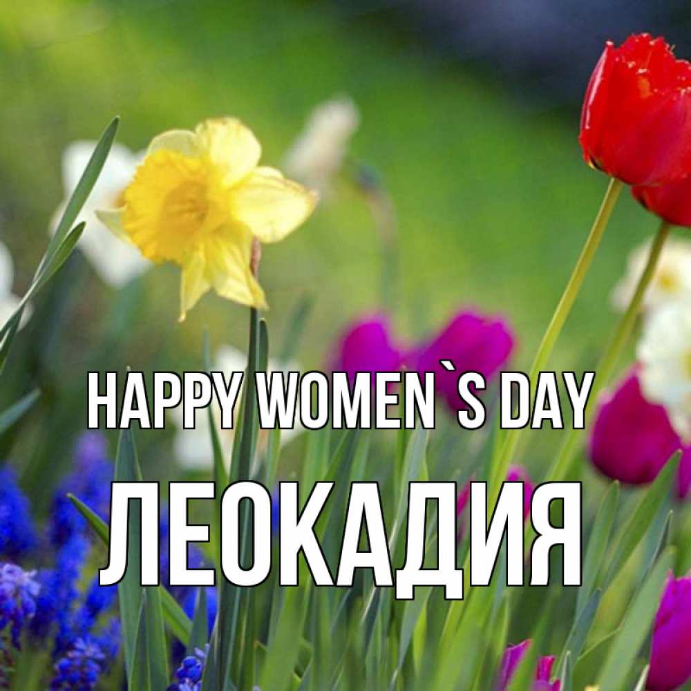 Greetings card с именем, Леокадия happy women`s day международный женский день 3 Greetings with text for free download 